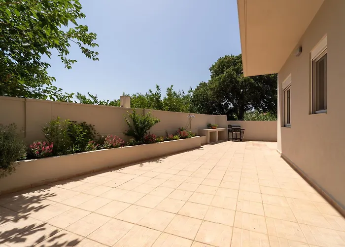 Shady Tree إياليسوس