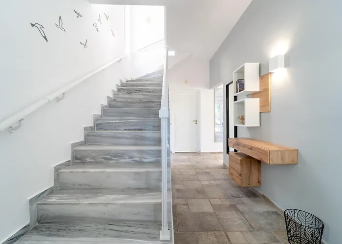 Shady Tree * إياليسوس