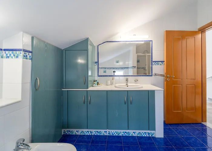 Shady Tree * إياليسوس