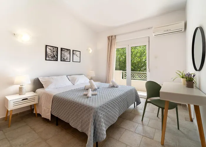 Shady Tree 伊利索斯