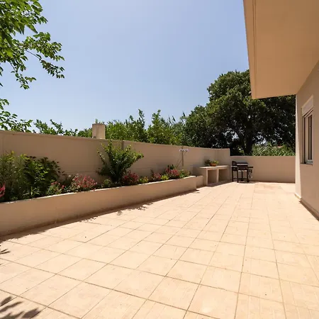 Shady Tree Ialysos (Rhodes)